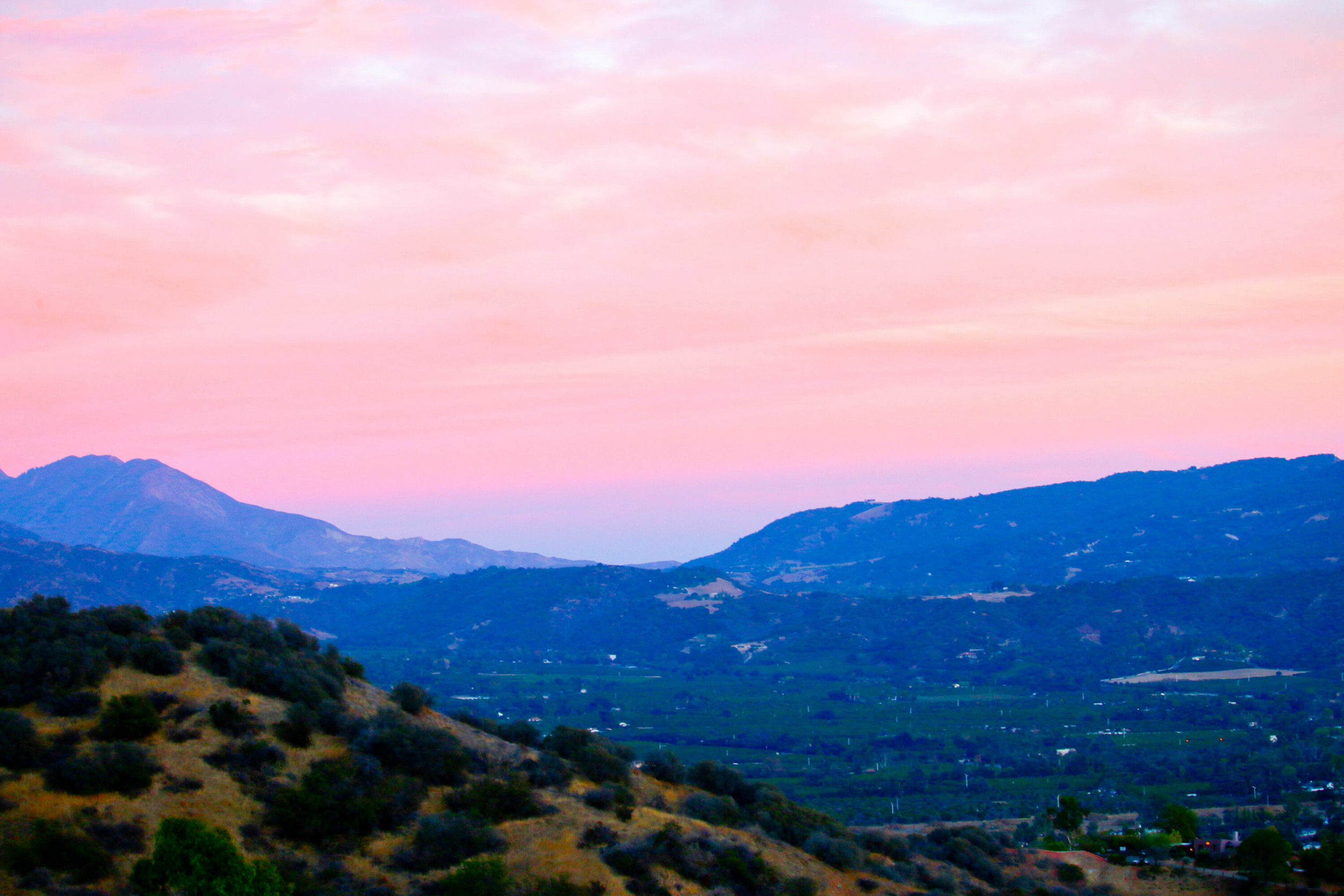 ROSA: Pink Moment i Ojai.