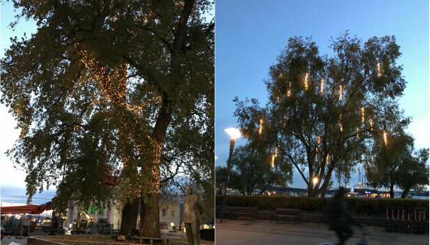 Julebelysningen ble satt opp på Aker brygge tirsdag denne uken. Julebelysningen ble satt opp på Aker brygge tirsdag denne uken.
