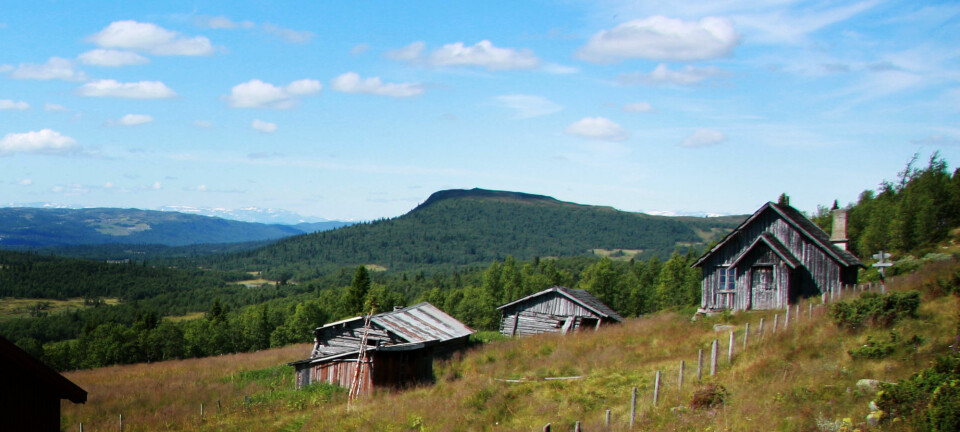 «Fjellkongene» Knut og Jakob var svorne fiender – plutselig var den ene som sunket i jorda