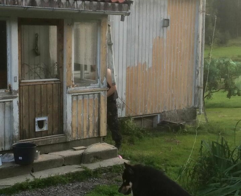 MYE JOBB: Her er Håkon i gang med det utvendige arbeidet på småbruket. Det ble en større og mer kostbart prosjekt enn de hadde trodd på forhånd. MYE JOBB: Her er Håkon i gang med det utvendige arbeidet på småbruket. Det ble en større og mer kostbart prosjekt enn de hadde trodd på forhånd.