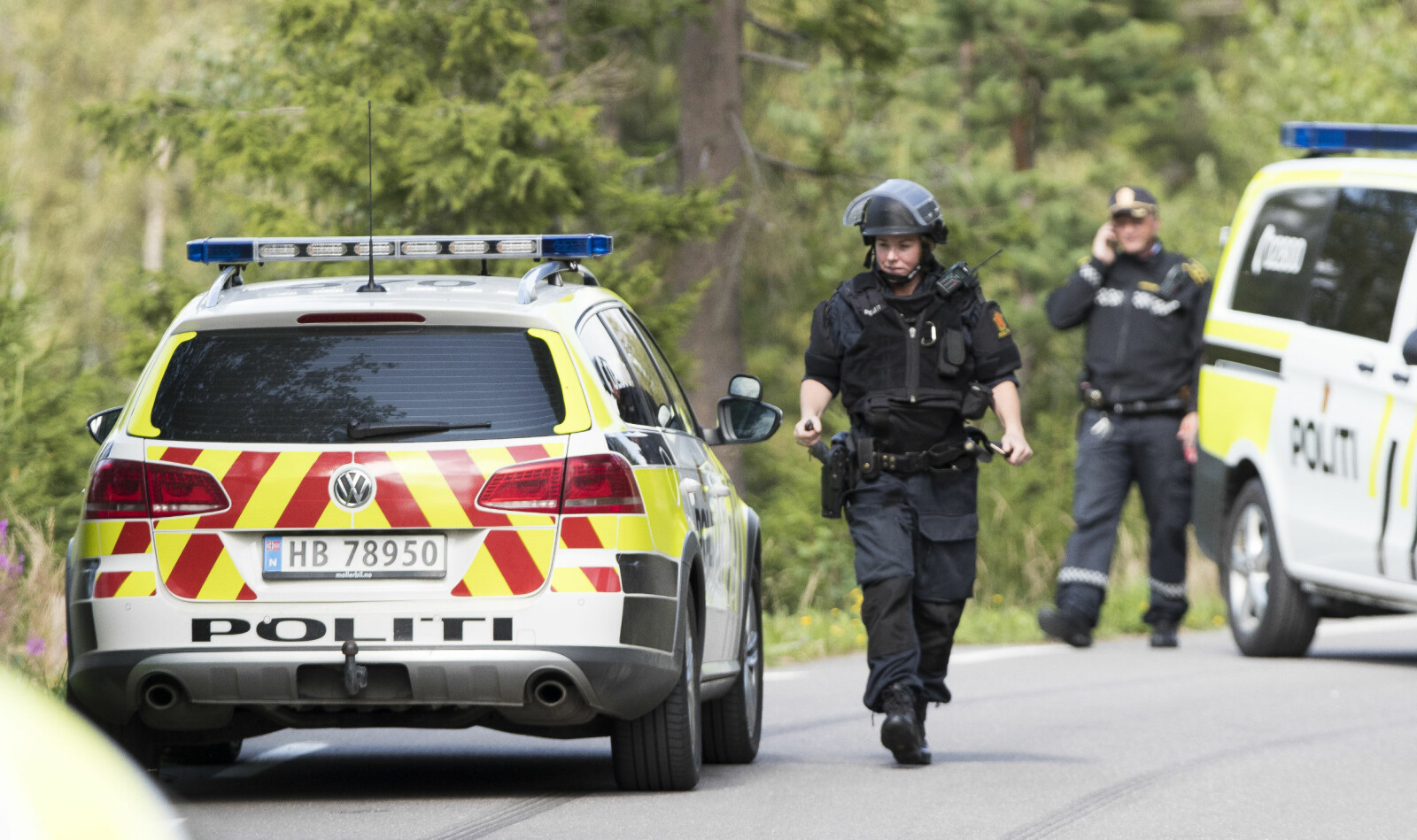 <b>VÆPLNET POLITIET:</b> En mann i 60-årene på Lygna i Oppland møtte politiet med machete og skadet én av dem. Bevæpnet politi omringet mannen hele dagen før de prøvde å gå inn.