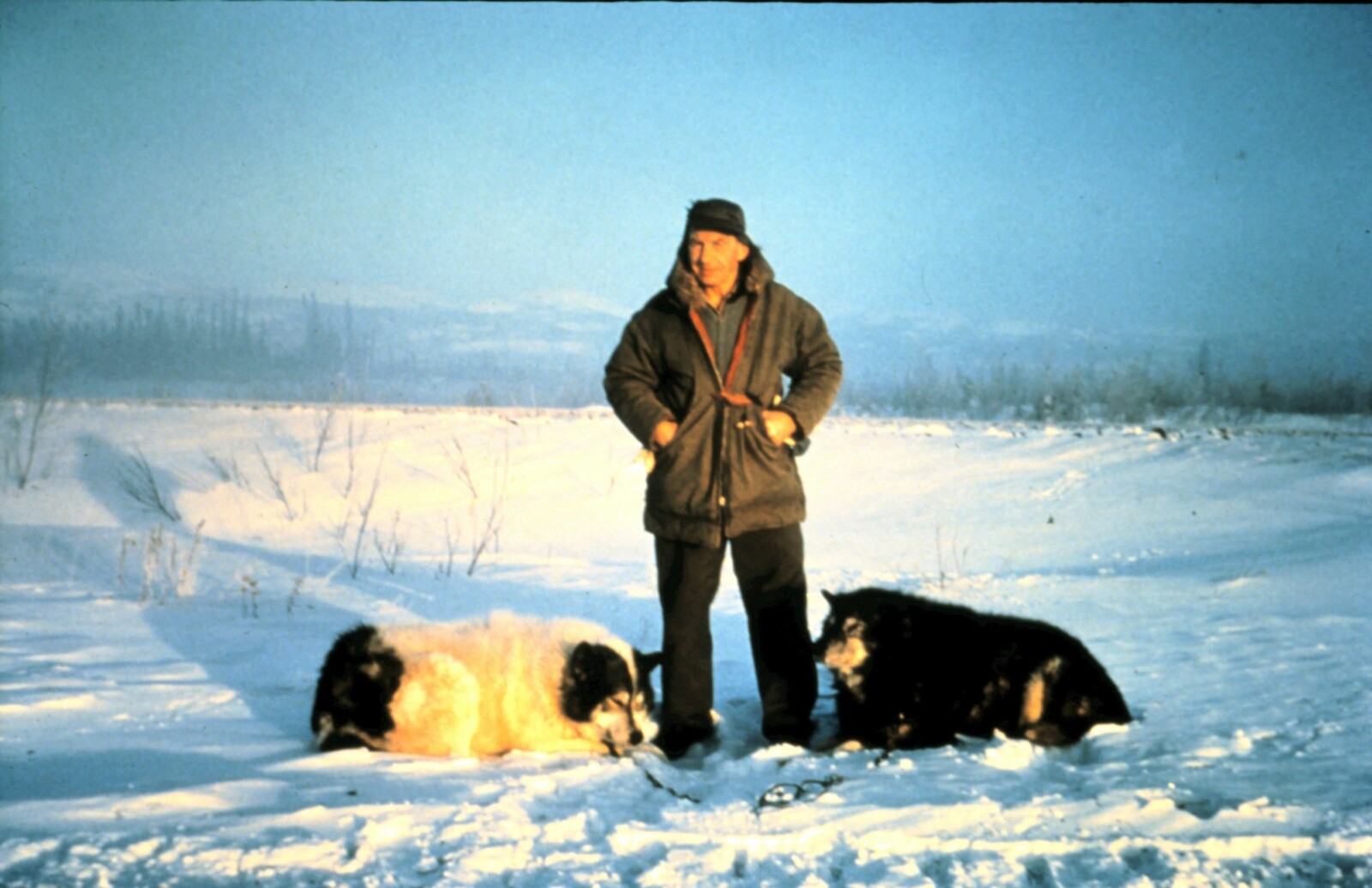 <b>HARDHAUS:</b> Hjalmar Dale med to av sine hunder vinteren 1960–61. (Foto: J. M. Richardson)