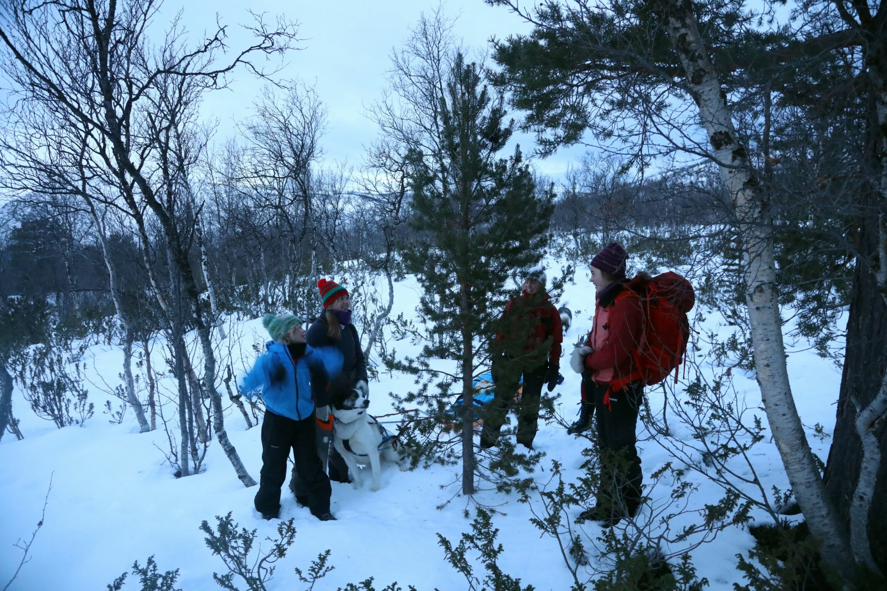 ENIGHET: Er vi enige om denne busken da? Flertallet bestemmer.