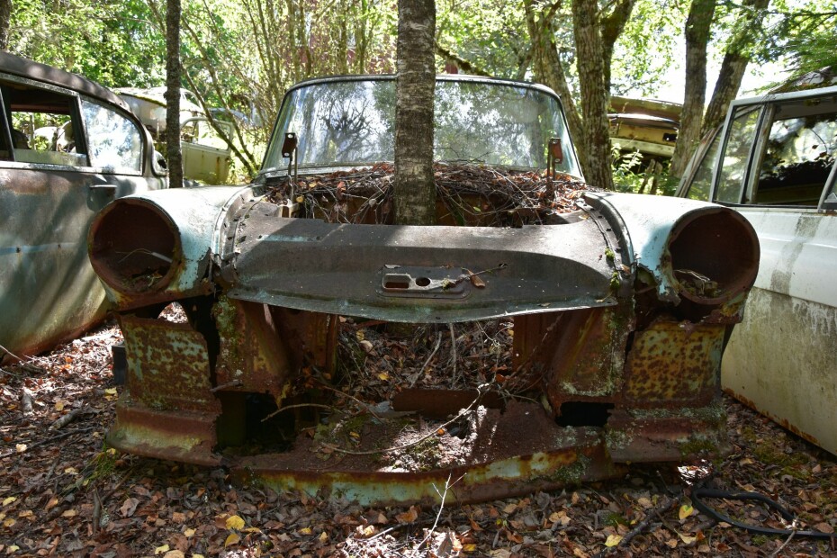 MOTORTRØBBEL: Det går sakte, men naturen sprenger seg vei og vil med årene vinne tilbake herredømmet over bilene.