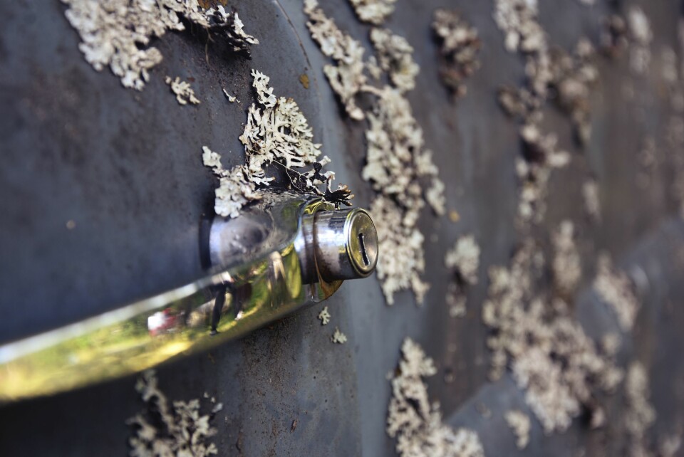 Bilkirkegården som forbløffer verden