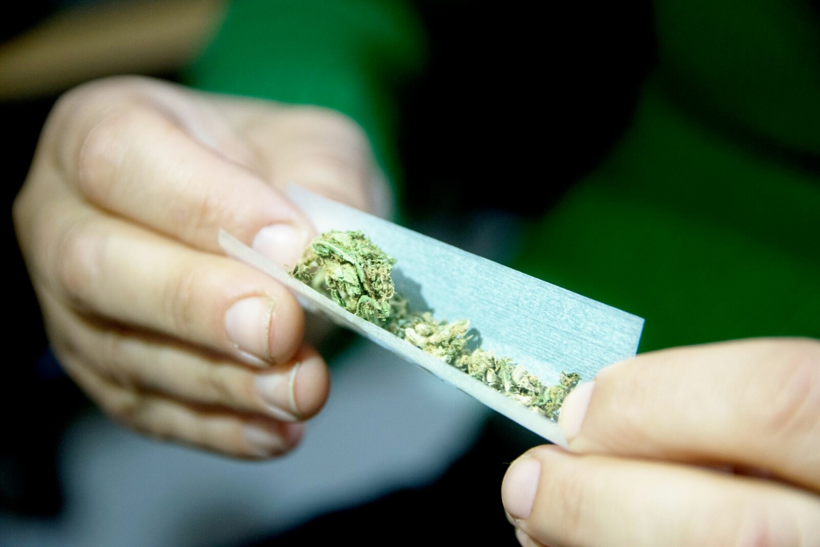 <b>LOVLIG?:</b> Cannabis har blitt legalisert i flere land i Vesten. Er det bare snakk om tid før det blir lovlig i Norge?