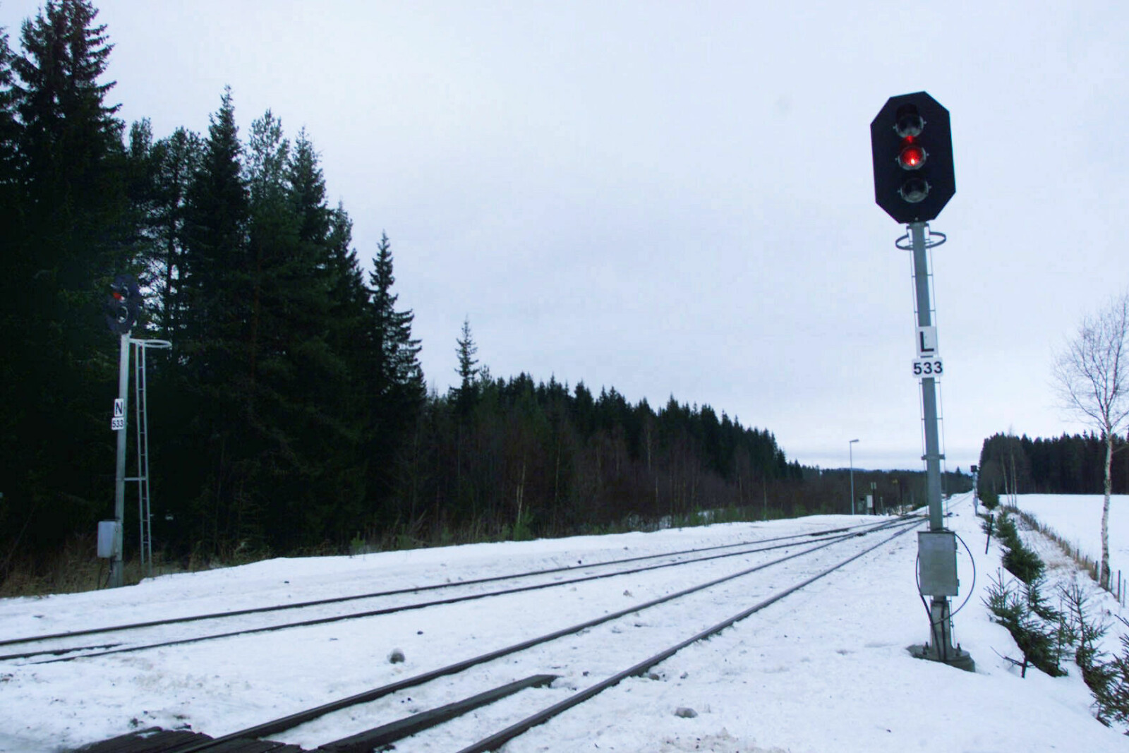 <b>RØDT:</b> Hva viste dette signalet ved utkjøringen fra Rudstad stasjon på Rørosbanen? Og hvorfor passerte lokaltoget signalet tre minutter før tiden? En serie avvik fra tog-rutinene inntraff iminuttene før Åsta-ulykken i år 2000.