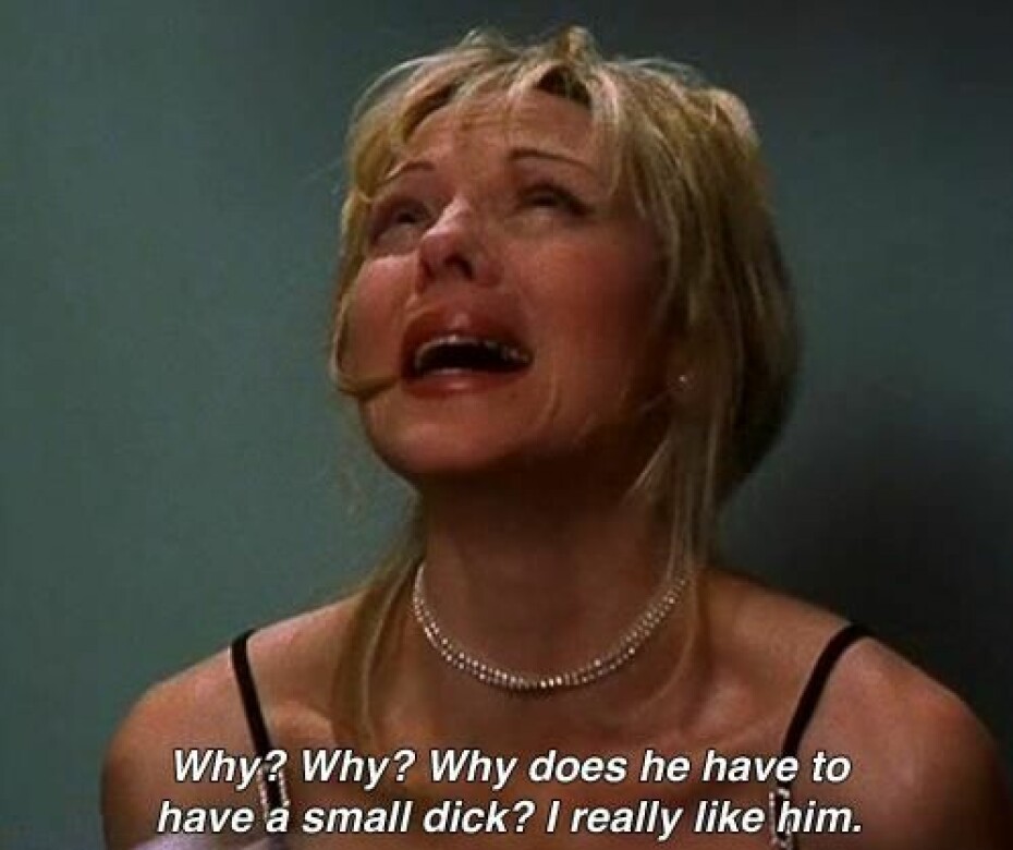 SINGELLIV: Karakteren Samantha (spilt av Kim Cattrall) i «Sex and The City» går ikke av veien for å dumpe noen raskt og på nokså tynt grunnlag.