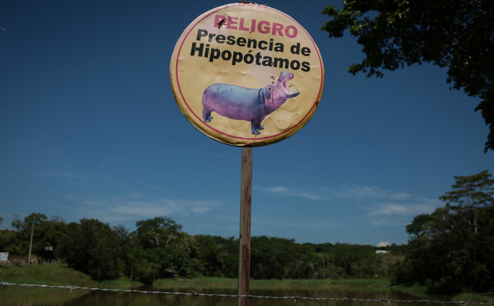 <b>SE OPP FOR FLODHESTER:</b> Et fareskilt advarer folk mot den eneste ville flokken av flodhester utenfor Afrika. Den befinner seg i Magdalenadalen i Colombia, og havnet der på grunn av kokain. 