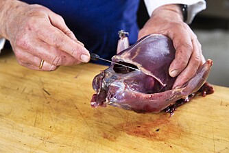 <b>FJERN INNMAT:</b> Snitt opp over brystbenet og åpne opp fuglen. Fjern hjerte, lever og krås (rypens magesekk). Benytt eventuelt de fjernede delene i posteier, sauser, supper eller kraft. Kast resten av innmaten. <b>FJERN INNMAT:</b> Snitt opp over brystbenet og åpne opp fuglen. Fjern hjerte, lever og krås (rypens magesekk). Benytt eventuelt de fjernede delene i posteier, sauser, supper eller kraft. Kast resten av innmaten.