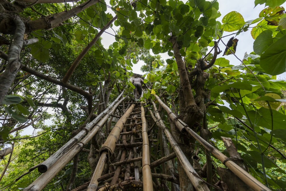 <b>RETT TIL VÆRS:</b> Bambusstigen fører opp til hytta, ti stupbratte meter over bakken. 