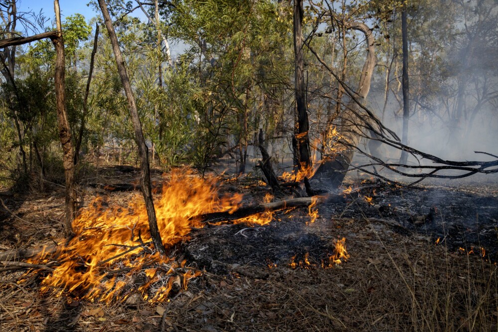 <b>UKONTROLLERT:</b> I løpet av kort tid har denne brannen svidd av femti kvadratkilometer med bush. Med ekstrem tørke får flammene ubegrenset tilførsel av tørt gress, løv og uttørkede trær.