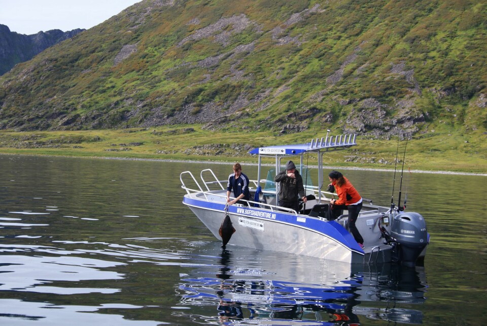 DAGENS MINSTE: Den minste kveita hadde en vekt på rundt ni kilo.