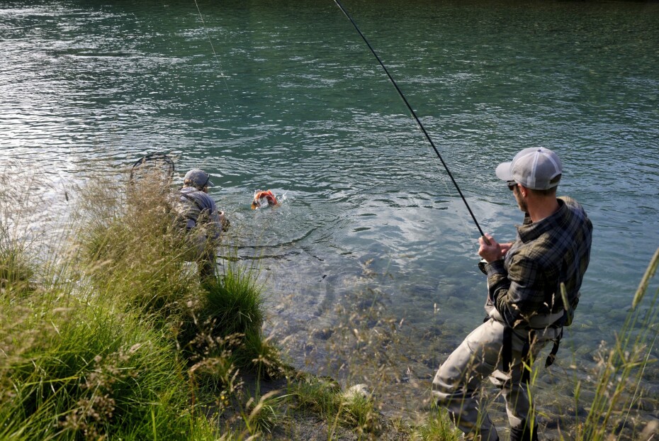 RØYEFISKE: Når du minst venter det: Røya var sløv, men lot seg lokke av en enkel imitasjon.