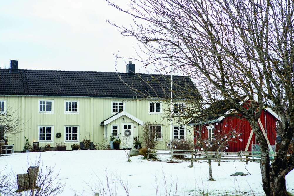 TRØNDERLÅN: En trønderlån er en type våningshus du finner mye av i Trøndelag. Den langstrakte formen er ofte et resultat av gradvis påbygging etter hvert som det kom til flere generasjoner og boligstandarden økte.
