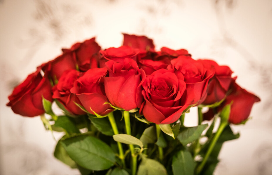 RØDE ROSER: LIte er vel fremstilt så klassisk romantisk som en bukett røde roser, men vet du hva de symboliserer?