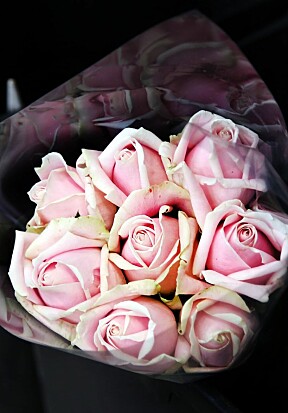 ROSESPRÅKET: Roser er et av våre mest universale kjærlighetsuttrykk, og har et helt eget språk.