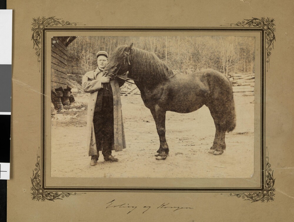 Erling Bjørnson avbildet med hesten Kongen.