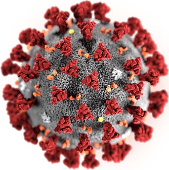 <b>VIRUSET:</b> Omtrent slik ser Korona-viruset ut. 