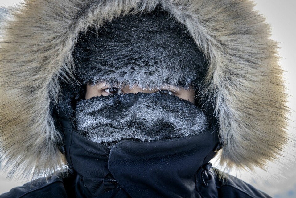 LANGT HJEMMEFRA: En turist fra Hongkong fryser i kulde og vind, men mener det er verdt det.– Vi opplever noe som er uendelig fjernt fra vår hverdag, medgir han og hans venner og sikter til nordlys, snø og kulde.