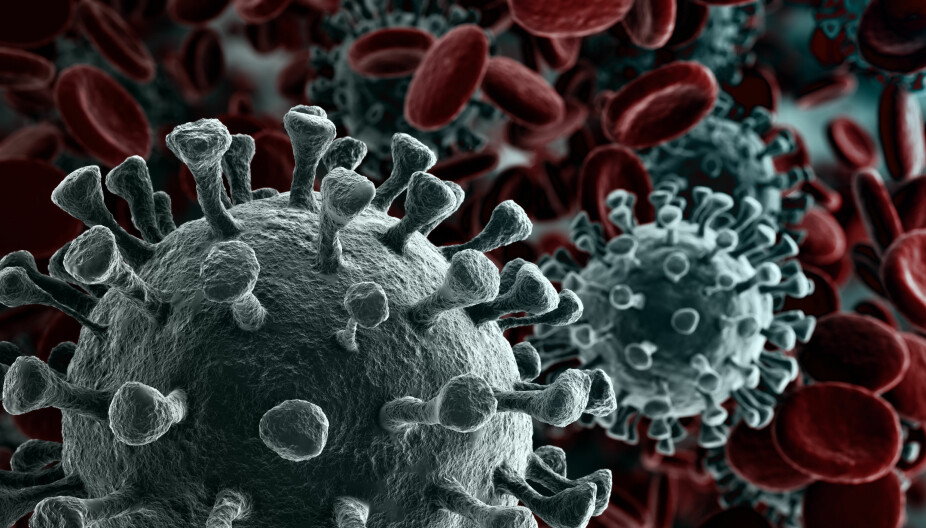 VAKSINE: Forskere jobber på spreng med å finne en vaksine for SARS-CoV-2-viruset.