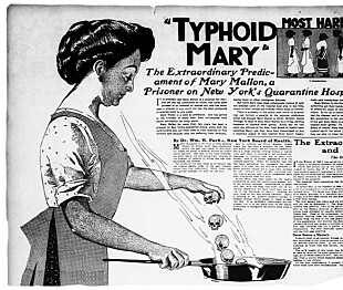 Mary Mallon spredte smitte til rike familier i New York i 1906.