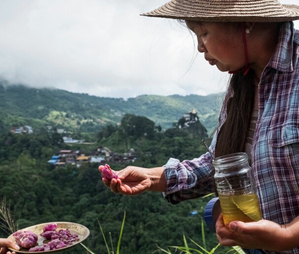 <b>FUNN:</b> Yy Chit Kyi kikker på rubiner og spineller hun oppbevarer i krukke med solsikkeolje. – Store, men av lav kvalitet, fastslår gruveeieren.