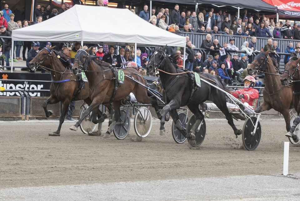 HØY TIMELØNN: Førstepremien i Finn Tack Norsk Travkriterium for varmblodshester var på 750 000 kroner. Altså en helt grei dag på jobben for hest nummer 8 Custom Colt og kusk Svein Ove Wassberg.