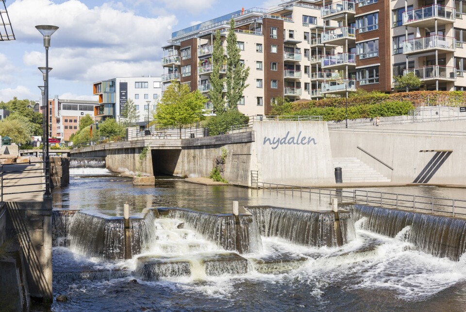 AVKJØLING: Her, midt i Nydalsbyen, er det muligheter for å ta seg en dukkert i det som før var en forurenset elv.