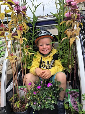 <b>EN LITEN BLOMST:</b> Lille Tobias er ikke så glad i være med mamma på shopping, men å ligge i en vogn full av blomster på Hageland syns fireåringen er moro.