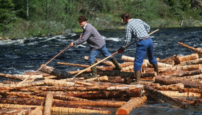 SISTE INNSATS: Den siste tømmerfløtingen i Norge foregikk blant annet i Trysilelva i Hedmark. Der ble tømmer fraktet over grensen til Sverige vannveien.