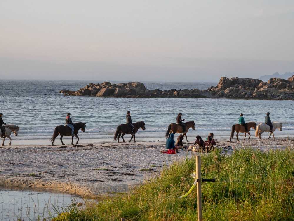 <b>RIDNING:</b> Hov Gård driver stort med utleie av hest, og arrangerer korte og lange rideturer på Islandshester.