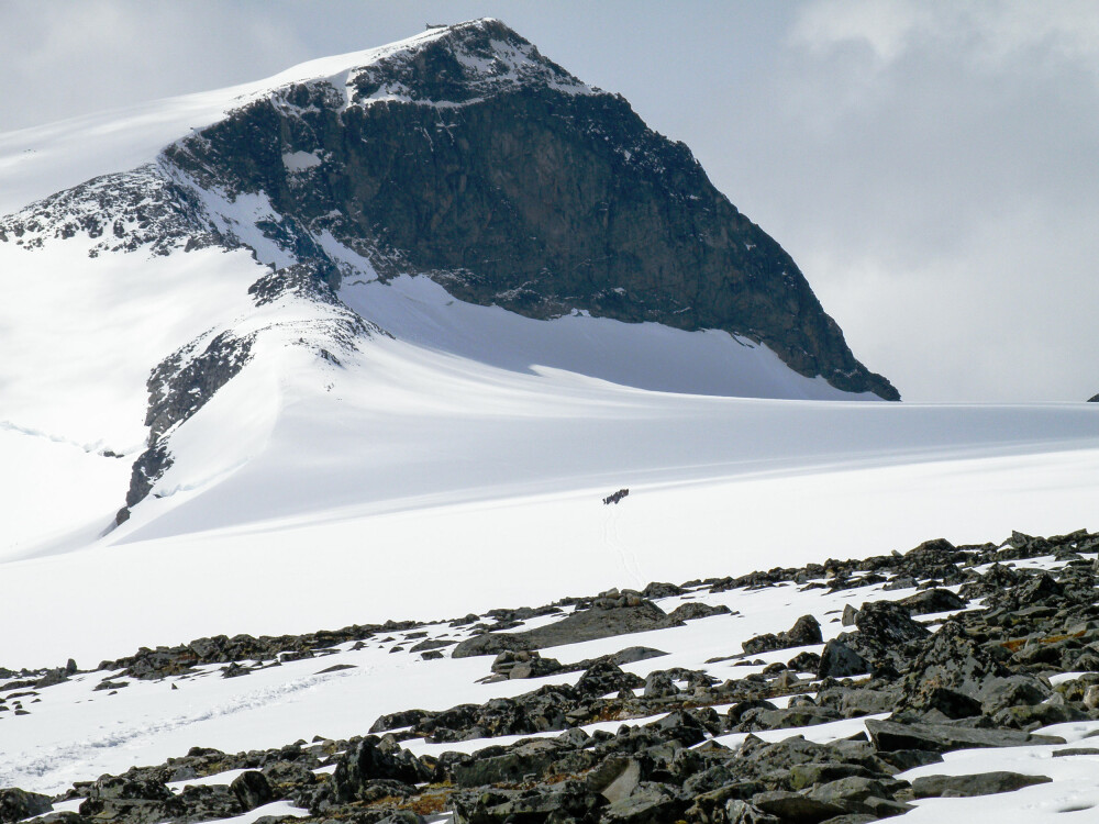 <b>2469:</b> Dette er Galdhøpiggens høyde over havet, og høyden for Norges høyeste fjell.