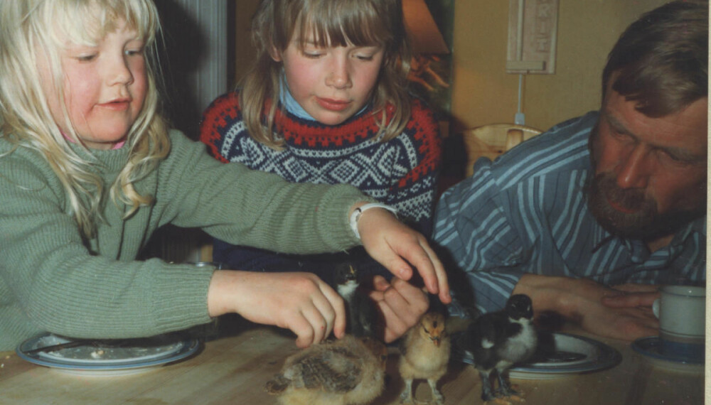 KYLLINGER: Gunhild, faren og lillesøsteren Marit med de nyklekkede kyllingene de fikk ruget frem i rugemaskin.