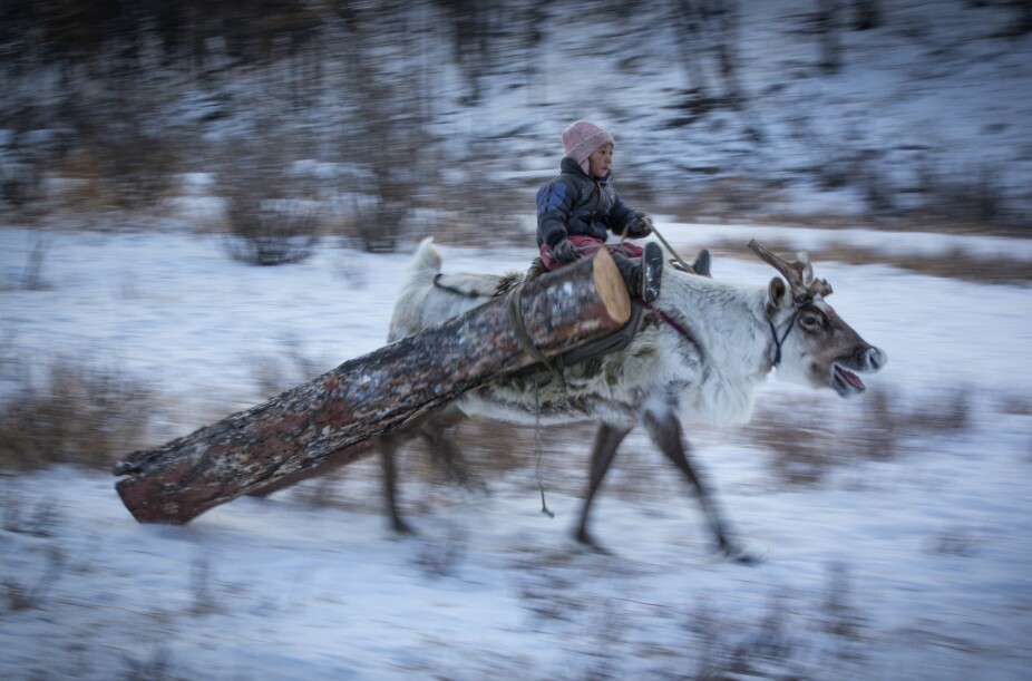 Reinsdyrfolket i Mongolia gjorde sterkt inntrykk på Vi Menns erfarne fotograf Johnny Haglund.