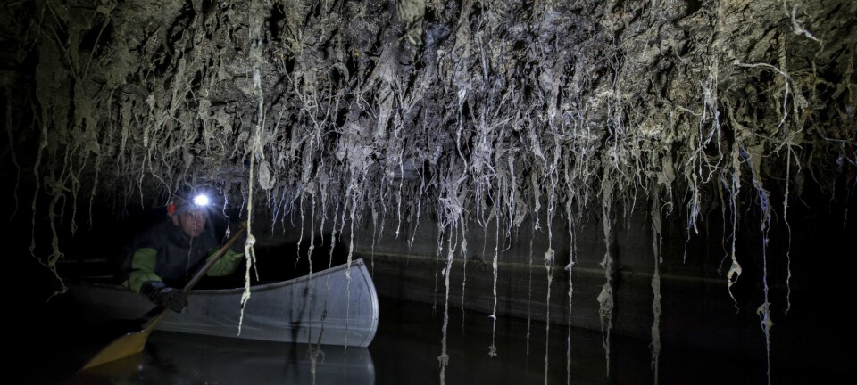 Fotografen ga seg selv og barna bade-nekt etter å ha tatt dette bildet i Oslo