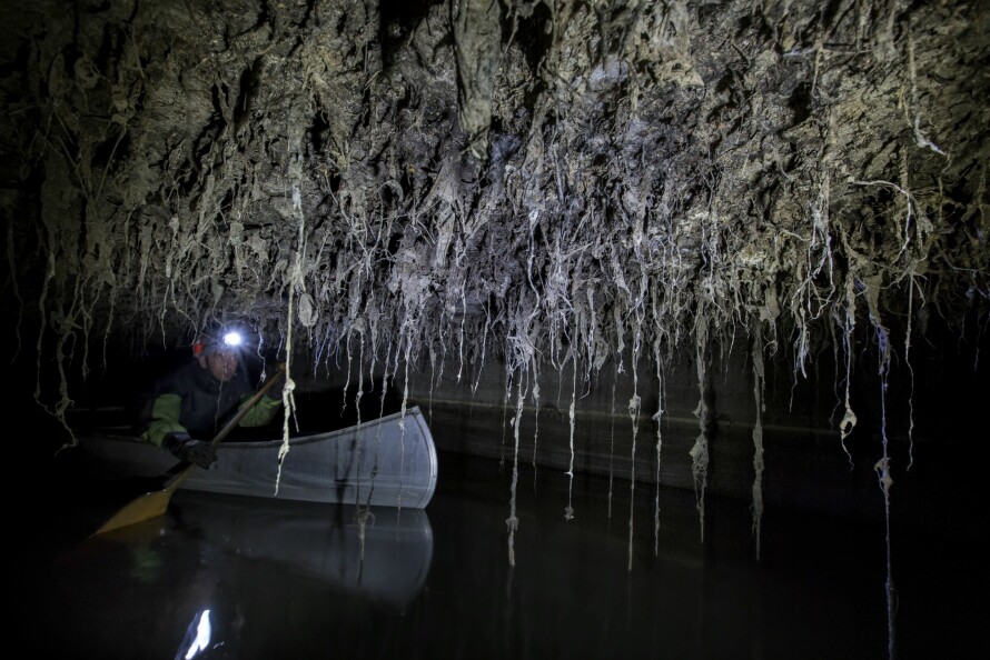DOPAPIR-JUNGEL: Johnny Hagnlund vil aldri la sine barn bade ved Sørenga etter dette synet.