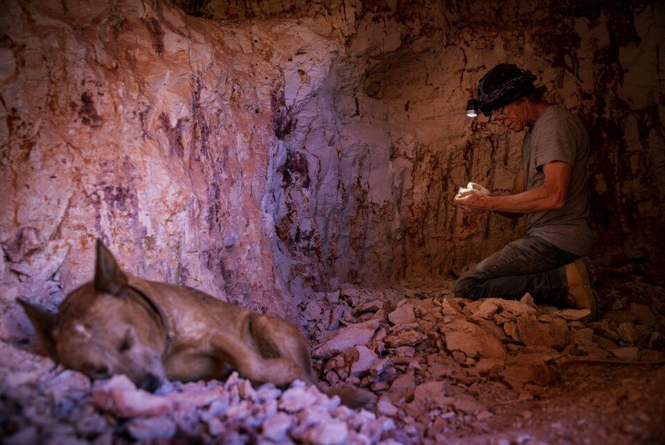 Fotografen ga seg selv og barna bade-nekt etter å ha tatt dette bildet i Oslo