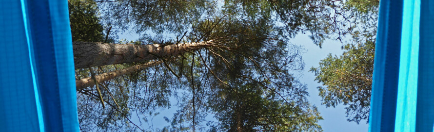 SOVE UTE: En natt i hengekøye under under åpen himmel kan være magisk - dersom det ikke regner.