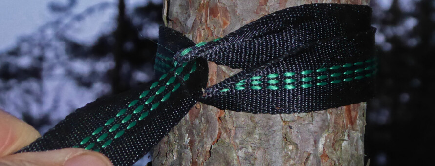 TRYGT OPPHENG: Heng hengekøya i trær som minst har en diameter på syv centimeter.