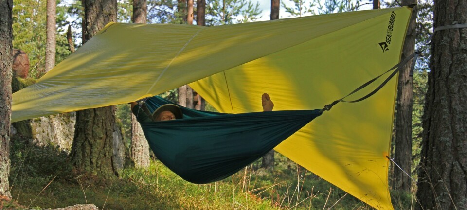 «Alle» skal ha hengekøye. Dette er viktig å tenke på