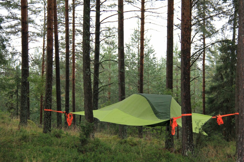 <b>TRETELT:</b> Tentsile stingray er et telt du henger opp i treet. Hengeteltet gir god soveplass for tre personer. Ulempen: Du må ha tre solid trær for å henge trygt.