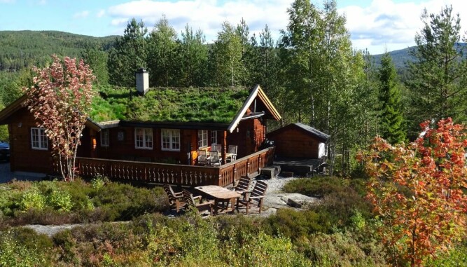 LIFJELL: Hytte i nydelige omgivelser ved Gavlesjå ved Lifjell i Telemark.