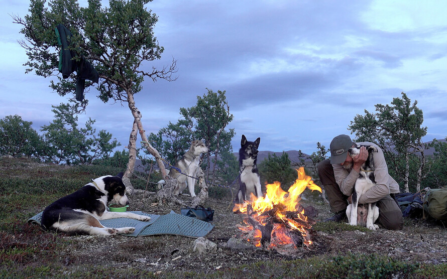 FEMUNDSMARKA: Bengt-Are startet turen fra Gutulia i Femundsmarka 6. juli 2019, men 1000 dagers prosjektet startet 1. februar 2020.