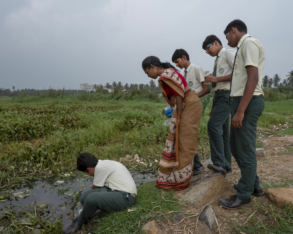HELSEFARE: Elever samler prøver av vannet i den nærmest gjengrodde innsjøen Varthur. Forurensingen får mye av skylden for at nyretrøbbel og malaria er utbredt blant befolkningen i nærheten.