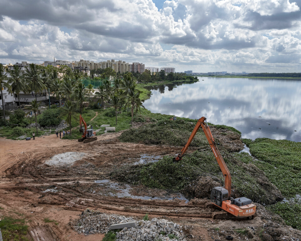 BY MOT VANN: Innsjøen Bellandur er beseiret av forurensning. Nå kjempes det med gravemaskiner mot vannplantene som kveler økosystemet.