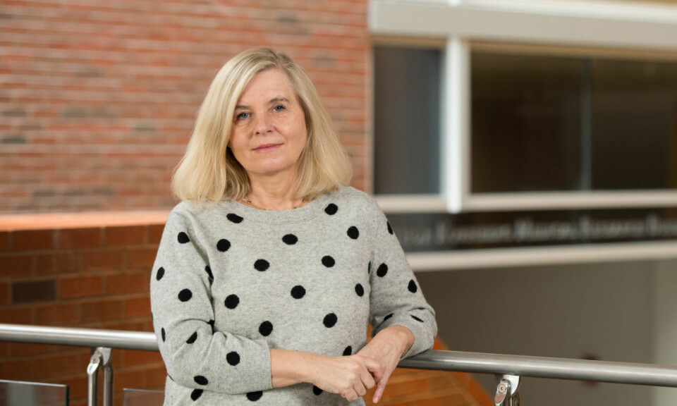 VASKER HJERNEN: Danske Maiken Nedergaard er en av verdens ledende nevroforskere, som blant annet var med på avsløre hjernens «rensesystem».