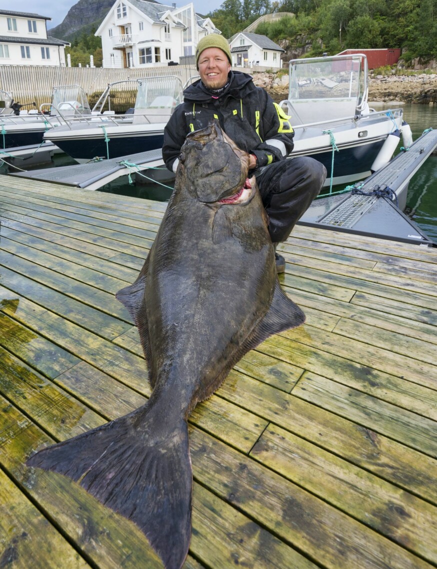 KVEITEMEKKA: I skjærgården utenfor Steigen er det veldig gode muligheter for å lure ei fin kveite på kroken. Denne kveita på 77 kg ble tatt i skjærgården utenfor Nordskot.