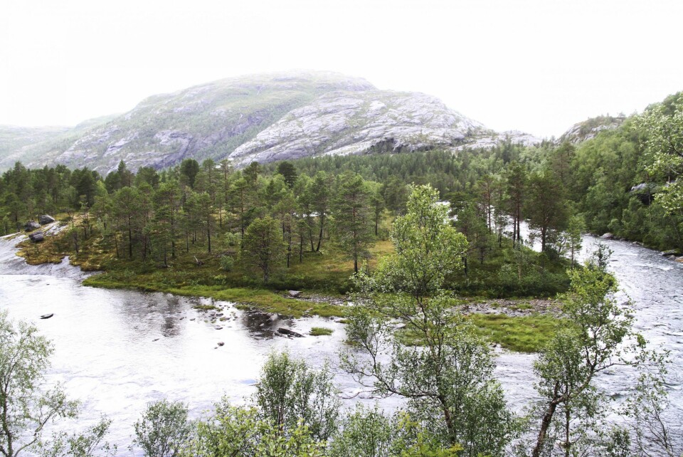 Villmarkstur til Storvatnet