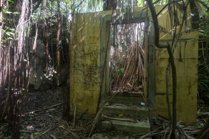 <b>GJENGRODD:</b> Gjemt inne i skogen ligger ruinene av det som var et japansk fengsel. 